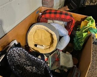 Box full of dog toys, bedding, leashes, etc. 