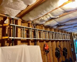 Extension ladder, hedge trimmer, garden hoses