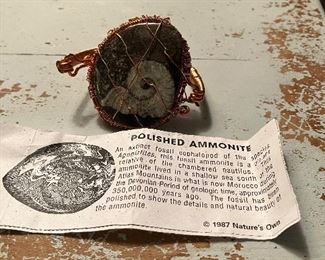 Polished Ammonite Fossil Bracelet. 