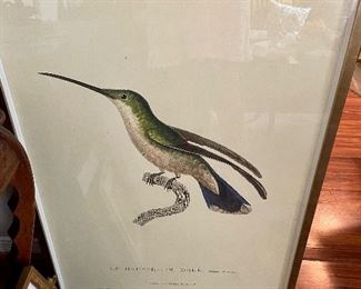 Lovely Large Pair of Birds