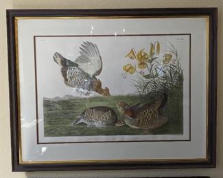 R. Havell Framed Print