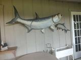 Tarpon
