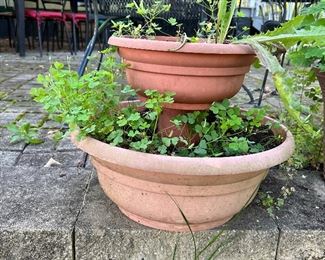 Planters: $5.00- $15.00