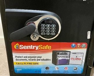 Sentry Safe