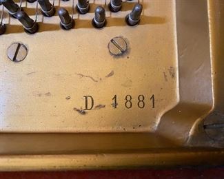 Steinway Grand Piano