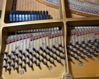 Steinway Grand Piano