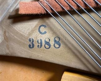 Steinway Grand Piano