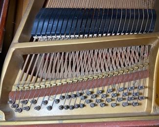 Steinway Grand Piano