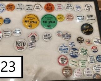 Dump the Hump Political Slogans