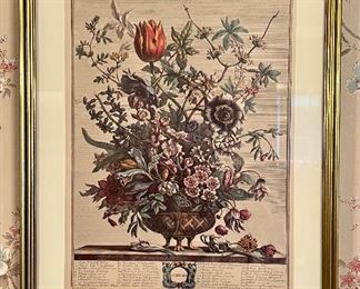 "January" Botanical Print