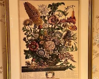 "August" Botanical Print