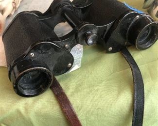 Zeiss binoculars 