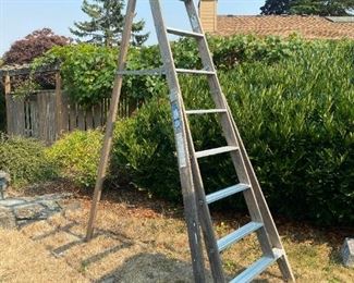 Tall Ladder