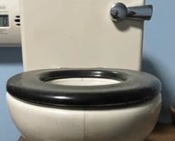 Mini toilet seat.
