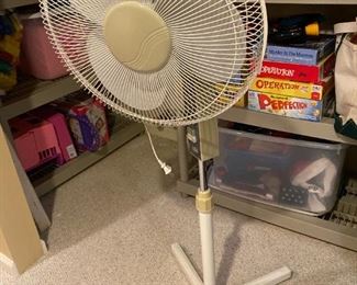 Pedestal  Fan