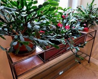 6 Christmas Cactus (priced individually)
Modern Steel and Copper Dry Sink $349 or bid #77