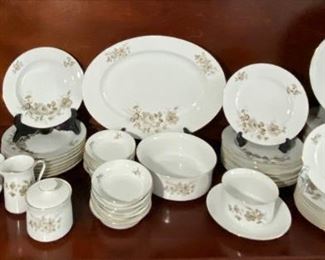 Johann Haviland China