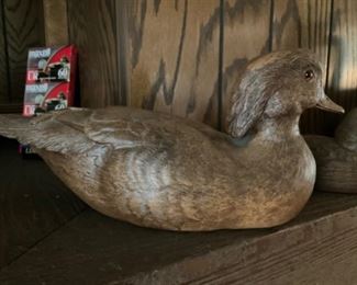 Large Phase IV Wood Duck