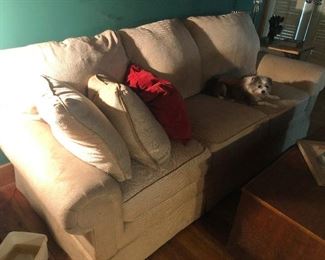 large campfire marshmallow