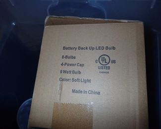 battery back up led bulb