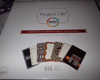 project life