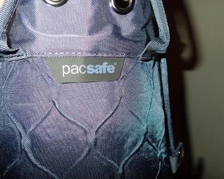 PAC SAFE