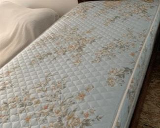 twin mattress and box spring