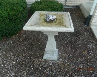 birdbath