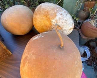Gourds