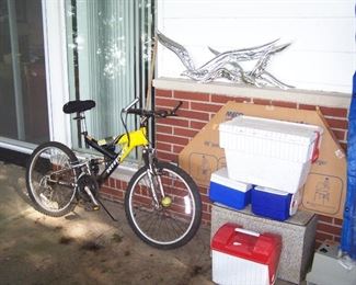 BIKE & COOLERS