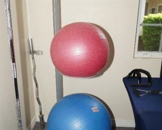 Body Solid ball stand with balls