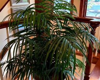 Artificial Decorative Plant