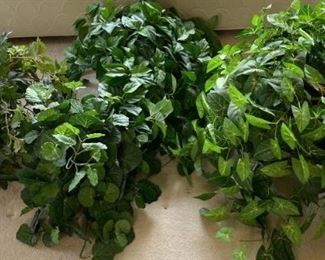 Beautiful Pots of Greenery