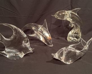 Collection of Glass Fish
