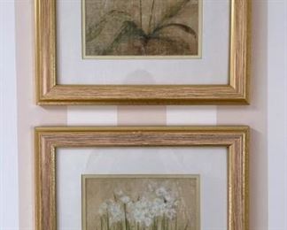 Pair of Framed Prints Orchid and Hyacinth
