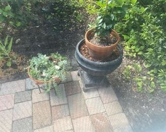 Pots and plants