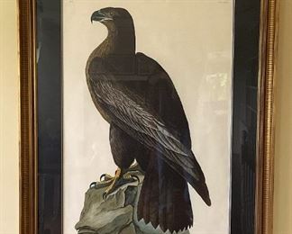 Audubon Bird of Washington Eagle