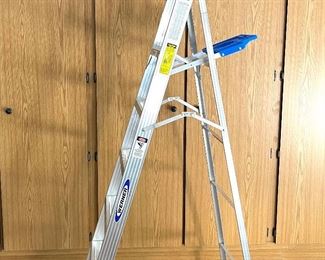 6’ Werner ladder