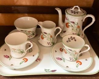 9 piece Limoges, France petite Jardin tea for two