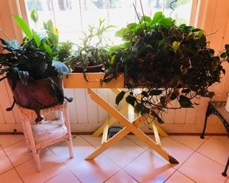 More plants
Yellow dove tailed tray on cross cross legs