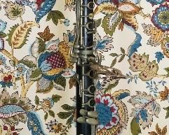 Vintage CG Conn clarinet