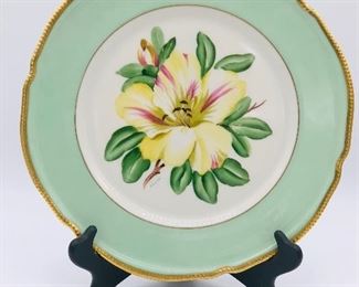 Castleton vintage China signed floral mint dinner plate.  Set of 10