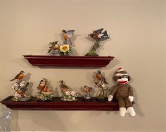 Large collection of birds