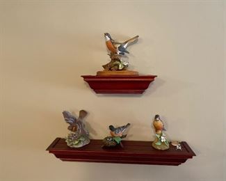 2nd collection of birds