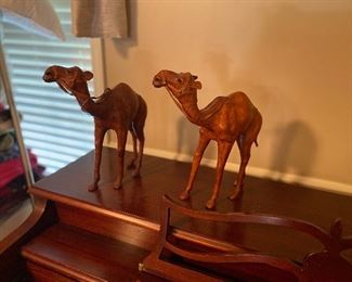 2 camels in leather 