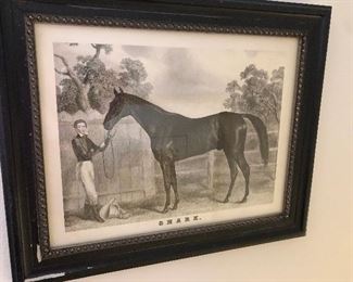 Equine engraving