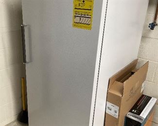 Large upright GE freezer. 