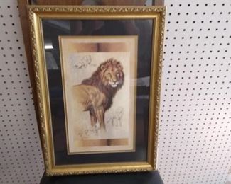 Framed Lion Print- J Gibson
