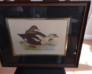 "King Duck" Art
