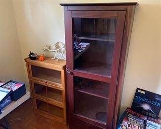 More storage under glass -- cat skeleton